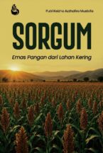 Sorgum: Emas Pangan dari Lahan Kering
