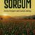 Sorgum: